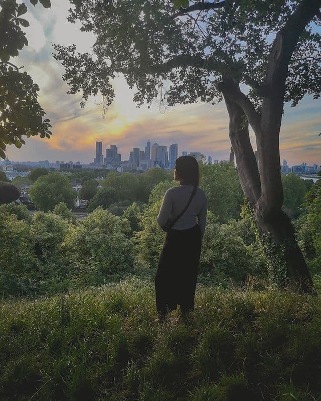 Looking out over a city skyline at sunset from a park