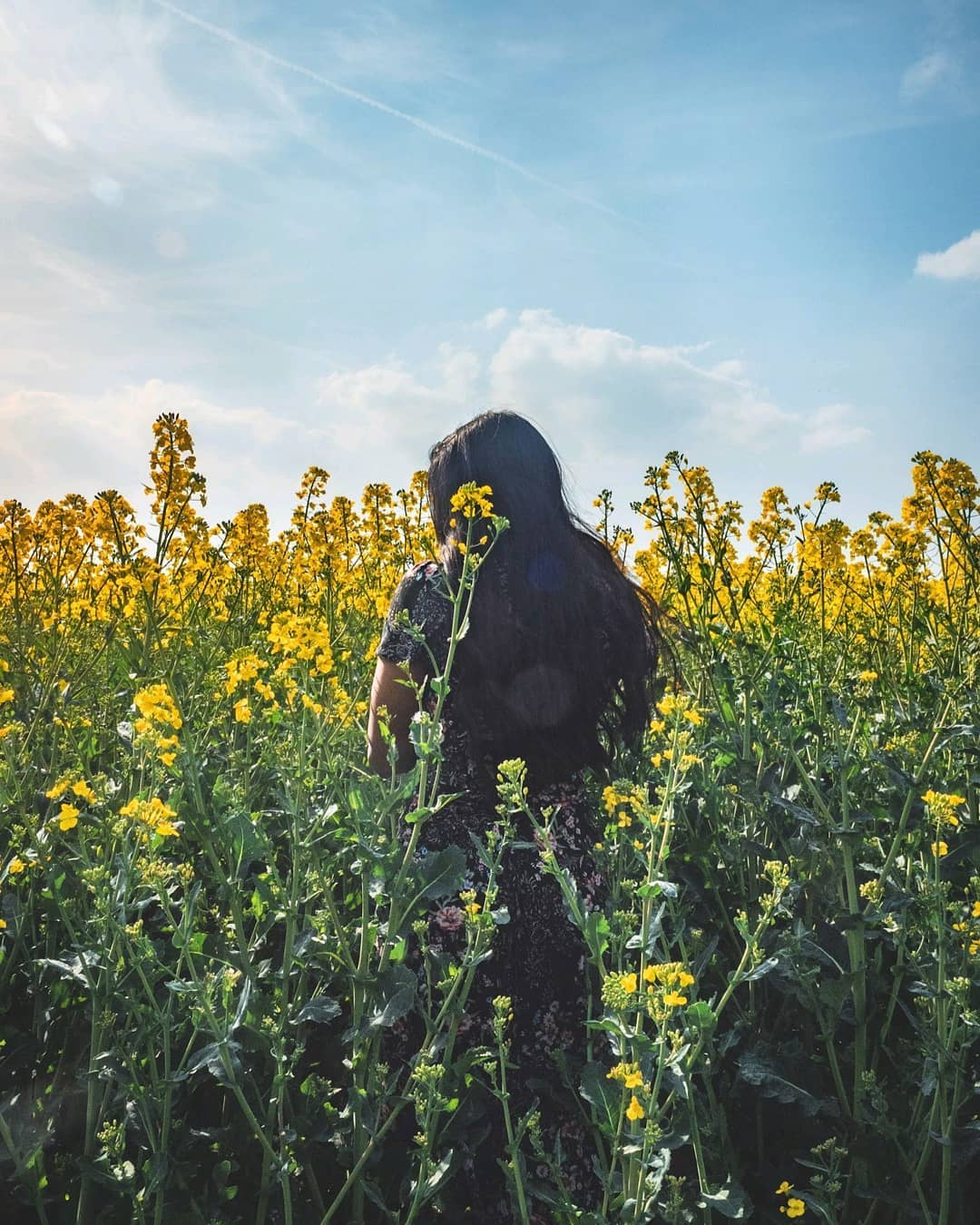 Standing in a field of yellow flowers