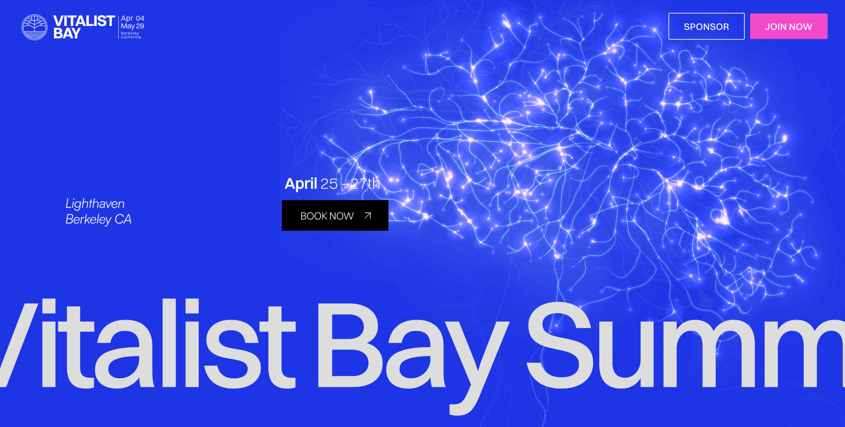 Vitalist Bay website homepage hero